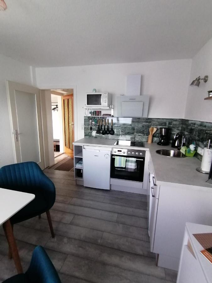 Toepferblick Apartment Olbersdorf Bagian luar foto